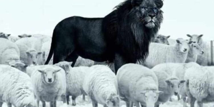 شِعرُ الخِرافة