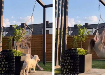 هي أروع عطرٍ …