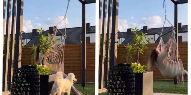 هي أروع عطرٍ …