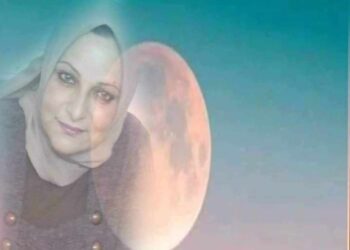 لن تتوقف قيثارتي