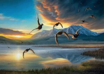 نور ٌ ورياح ..