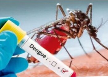 الصحة: يوجد حتى الآن لقاح واحد تحت التجربة للوقاية من حمى الضنك