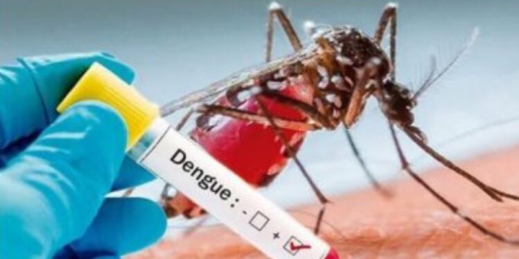 الصحة: يوجد حتى الآن لقاح واحد تحت التجربة للوقاية من حمى الضنك