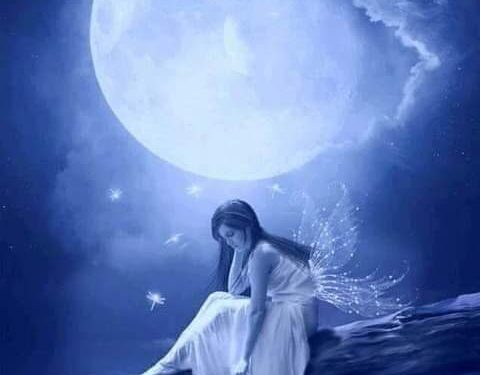 مرايا ….الكرى