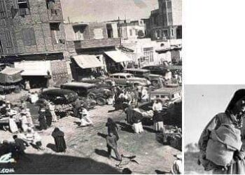 الحلزونه ..!. و المستعجله ..!. وسكة الحمار ..!.