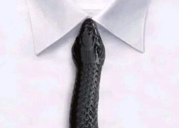 عن الصداقة و الصديق …