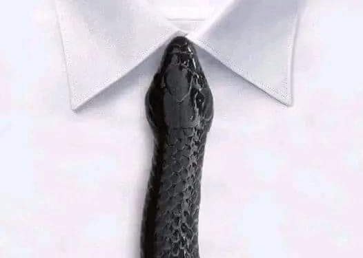 عن الصداقة و الصديق …