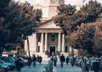 قصر (العيني) وليس القصر العيني ..