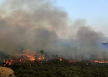 وزير الزراعة بسوريا يكشف عن خطة بديلة لتطويق النيران