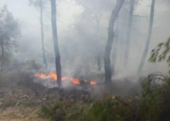 لليوم الخامس.. محاولات السيطرة على حرائق ريف اللاذقية بسوريا