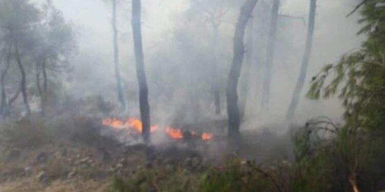 لليوم الخامس.. محاولات السيطرة على حرائق ريف اللاذقية بسوريا