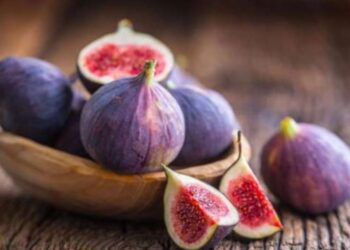 فاكهة مذكورة في القرآن تحافظ على الجهاز الهضمي.