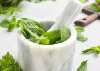 فوائد النعناع لمنع تراكم الدهون بالجسم