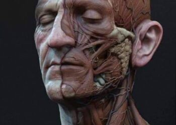 إِنَّا كُلَّ شَيْءٍ خَلَقْنَاهُ بِقَدَرٍ