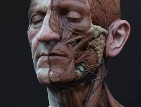 إِنَّا كُلَّ شَيْءٍ خَلَقْنَاهُ بِقَدَرٍ