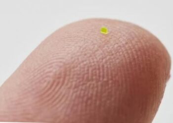 بيع أصغر حقيبة يد في العالم بـ63 ألف دولار..