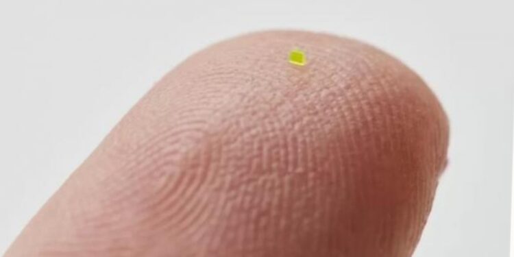 بيع أصغر حقيبة يد في العالم بـ63 ألف دولار..