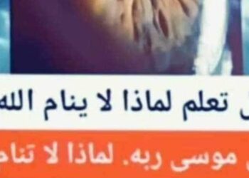 7 معلومات مفيدة من الرواد نيوز