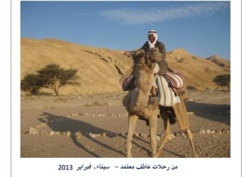 العطشانة تكسر الحوض !!