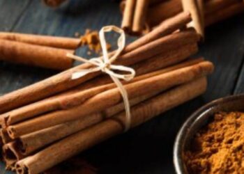 6 فوائد للقرفة.. من تنظيم السكر إلى تحسين الهضم