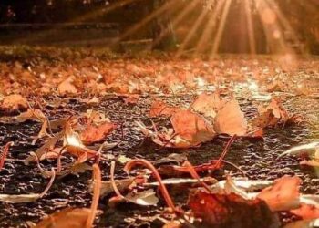 « كتبت ليه يازمن » للشاعرة عزه السعدنى …