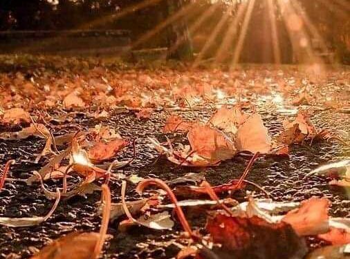 « كتبت ليه يازمن » للشاعرة عزه السعدنى …