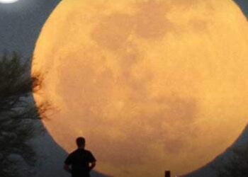 قمر الغزال الأضخم في سماء مصر خلال 2023.. شاهده