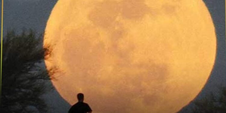 قمر الغزال الأضخم في سماء مصر خلال 2023.. شاهده