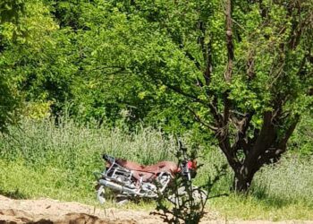 عاطر الشوق البسيط