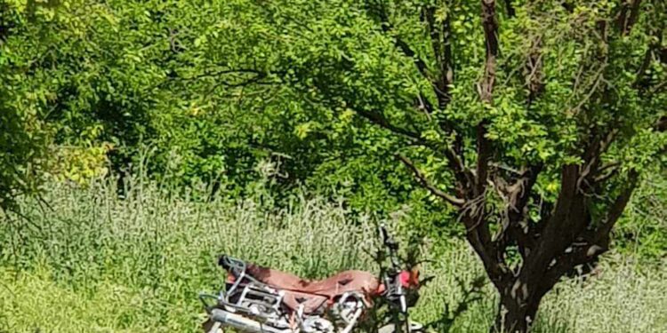 عاطر الشوق البسيط