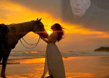 شغوف بهواك …