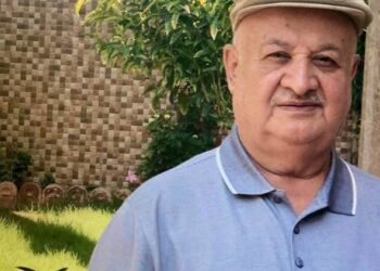 « لويس ساكو و موطنه العراق » للكاتب انيس ميرو …