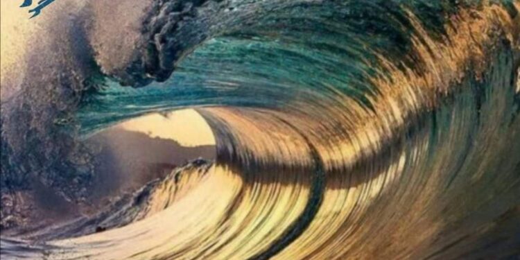 “تواضع يا بحر” للشاعرة فاطمة البلطجي