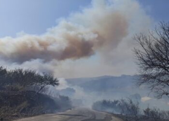 سوريا …حرائق الغابات تتوعّد بالسيول الجارفة وحجب تغذية المخزون المائي