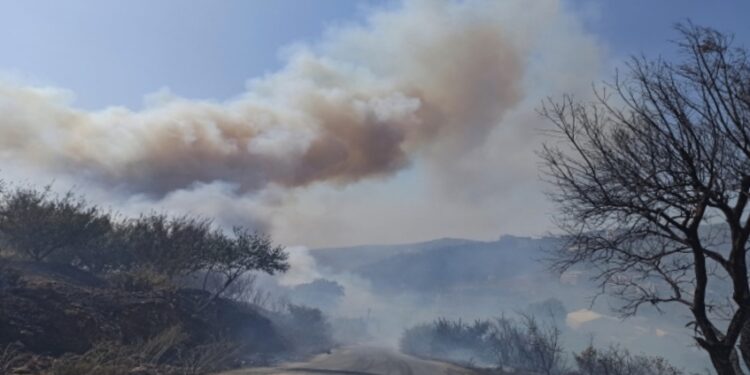 سوريا …حرائق الغابات تتوعّد بالسيول الجارفة وحجب تغذية المخزون المائي