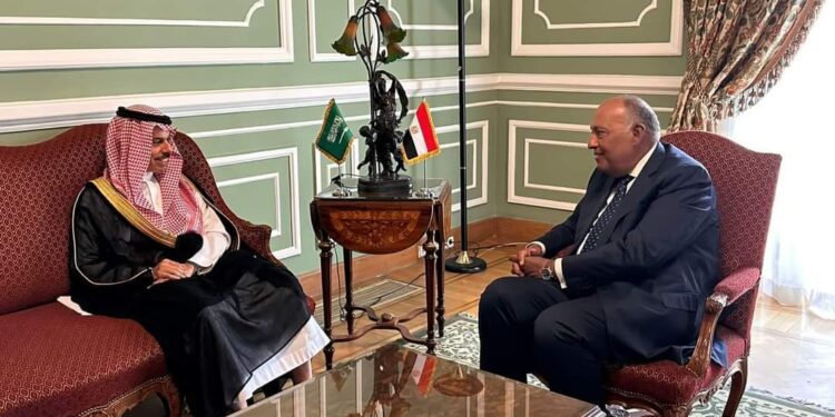 وزير الخارجية سامح شكري يعقد اجتماعاً ثنائياً مع نظيره السعودي