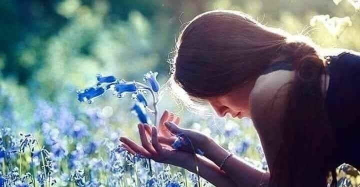 « أقسم الريح نصفين » للشاعرة لبنى عبد الله ونوس