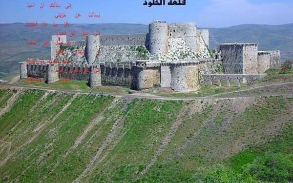 « قلعة الخلود » للشاعر سمير عبد الرءوف الزيات