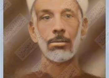 الشيخ علام سلامة وحكايته مع طه حسين وشوقي وحافظ