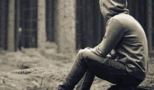 « اللي كتبوا الشعر فيكي » للشاعر هانى صلاح الدين …