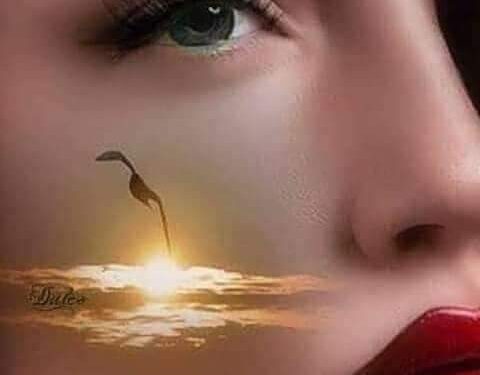 « أيها القلب الذي » للشاعر عبدالحميدالصناديدي