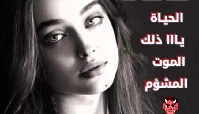 « الموناليــزا  » للشاعر عباس ابو عادل …