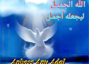 « لاهل العقول خسارة حلم » للشاعر عباس ابو عادل …