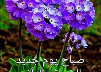 « صباح جديد » بقلم السفير المهندس د.عادل عبداللطيف البدري