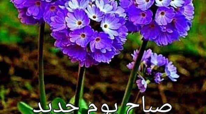 « صباح جديد » بقلم السفير المهندس د.عادل عبداللطيف البدري