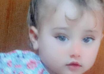 « انت الطلا » للشاعر ابو انور العجيلي