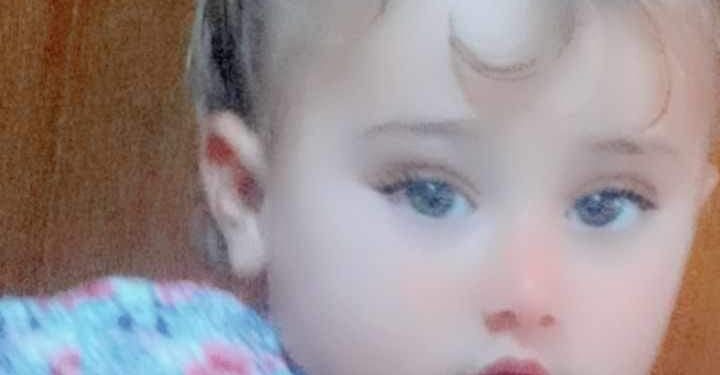 « انت الطلا » للشاعر ابو انور العجيلي