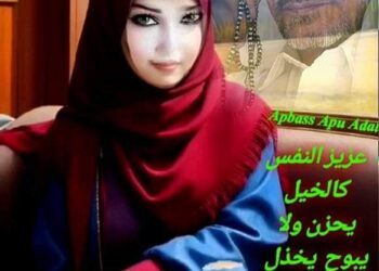 « ضياء الانوار » للشاعر عباس ابو عادل …