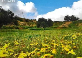 ذكريات من الماضى للزمن الجميل.