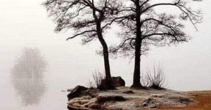 « حنين » للشاعرة نسرين احمد …